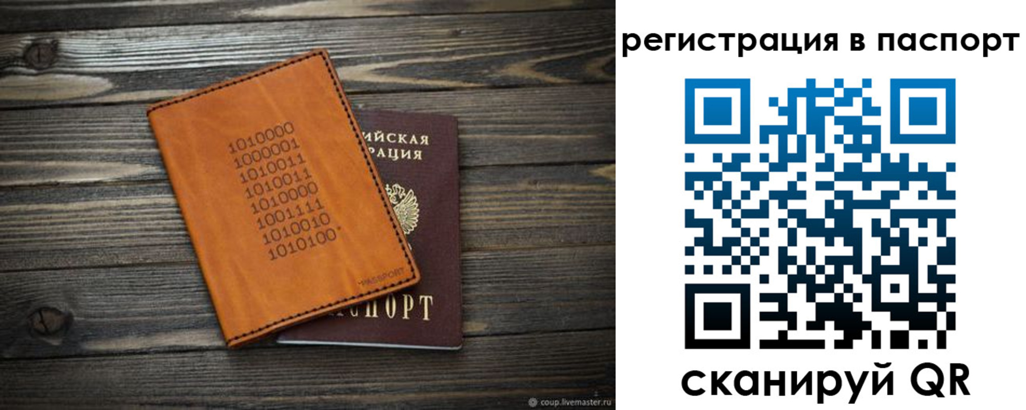 прописка для школы в Сольцах